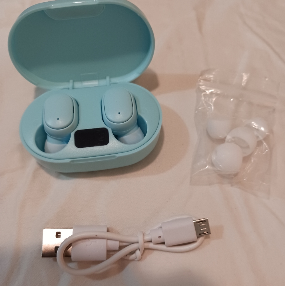 Earbuds